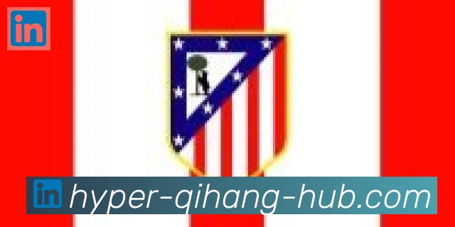 启航彩票平台合作伙伴
